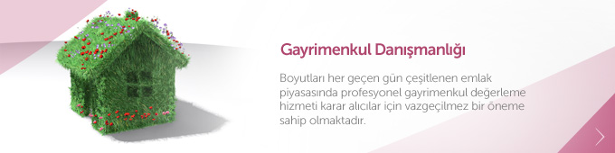 Gayrimenkul Danmanl